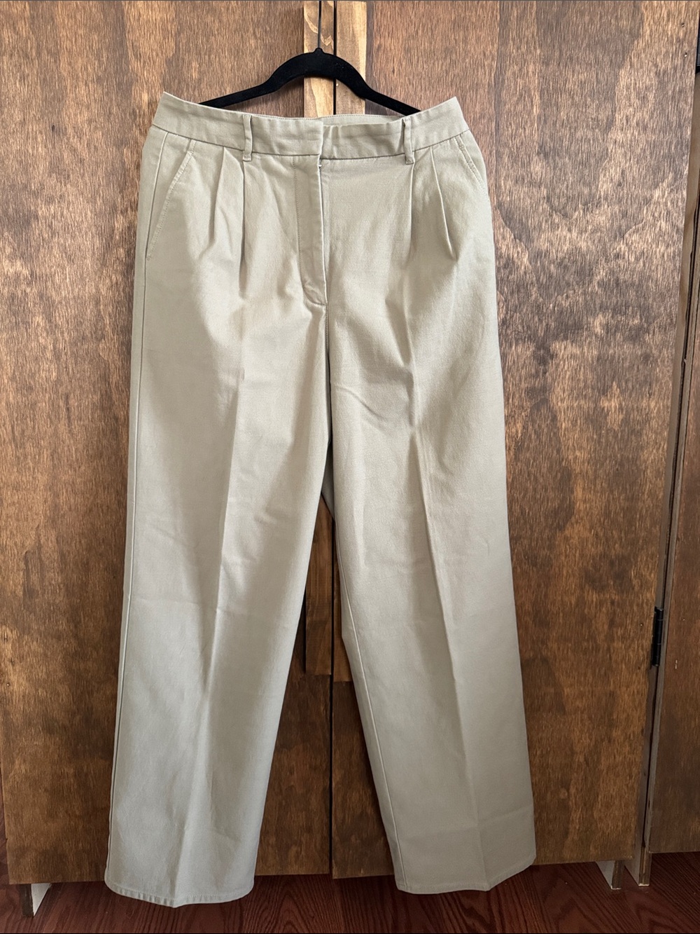 Aritzia Wilfred Beige Pleated Chinos